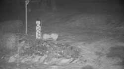 Běžecký lyžařský areál Nová Ves - horní část