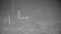 Běžecký lyžařský areál Nová Ves - horní část