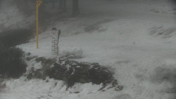 Běžecký lyžařský areál Nová Ves - horní část