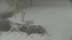 Běžecký lyžařský areál Nová Ves - horní část