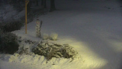 Běžecký lyžařský areál Nová Ves - horní část