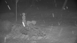 Běžecký lyžařský areál Nová Ves - horní část