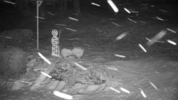 Běžecký lyžařský areál Nová Ves - horní část