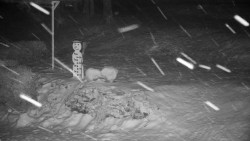 Běžecký lyžařský areál Nová Ves - horní část