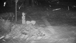 Běžecký lyžařský areál Nová Ves - horní část