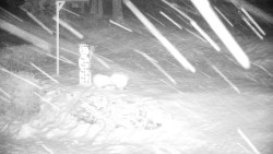 Běžecký lyžařský areál Nová Ves - horní část