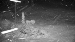 Běžecký lyžařský areál Nová Ves - horní část