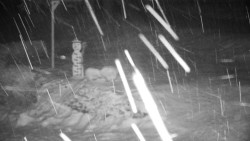 Běžecký lyžařský areál Nová Ves - horní část