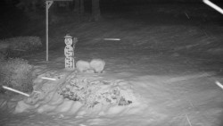 Běžecký lyžařský areál Nová Ves - horní část