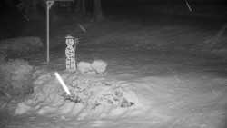 Běžecký lyžařský areál Nová Ves - horní část