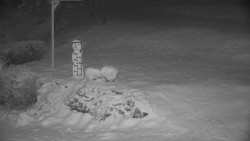 Běžecký lyžařský areál Nová Ves - horní část