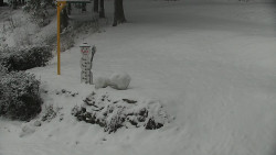 Běžecký lyžařský areál Nová Ves - horní část