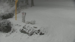 Běžecký lyžařský areál Nová Ves - horní část