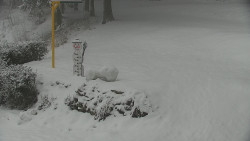 Běžecký lyžařský areál Nová Ves - horní část