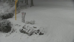 Běžecký lyžařský areál Nová Ves - horní část