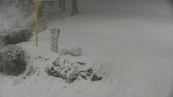 Běžecký lyžařský areál Nová Ves - horní část