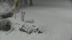 Běžecký lyžařský areál Nová Ves - horní část