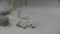 Běžecký lyžařský areál Nová Ves - horní část