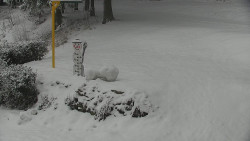 Běžecký lyžařský areál Nová Ves - horní část