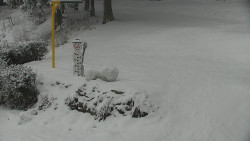 Běžecký lyžařský areál Nová Ves - horní část