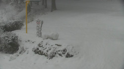 Běžecký lyžařský areál Nová Ves - horní část