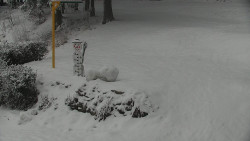 Běžecký lyžařský areál Nová Ves - horní část