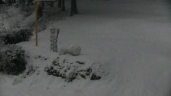 Běžecký lyžařský areál Nová Ves - horní část