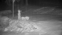 Běžecký lyžařský areál Nová Ves - horní část