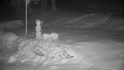 Běžecký lyžařský areál Nová Ves - horní část