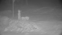 Běžecký lyžařský areál Nová Ves - horní část