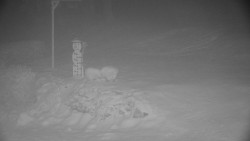 Běžecký lyžařský areál Nová Ves - horní část