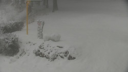 Běžecký lyžařský areál Nová Ves - horní část