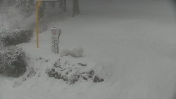 Běžecký lyžařský areál Nová Ves - horní část