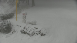 Běžecký lyžařský areál Nová Ves - horní část