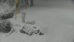 Běžecký lyžařský areál Nová Ves - horní část