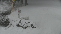 Běžecký lyžařský areál Nová Ves - horní část