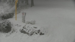 Běžecký lyžařský areál Nová Ves - horní část