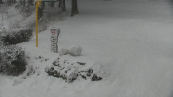 Běžecký lyžařský areál Nová Ves - horní část