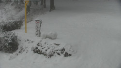 Běžecký lyžařský areál Nová Ves - horní část