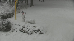 Běžecký lyžařský areál Nová Ves - horní část