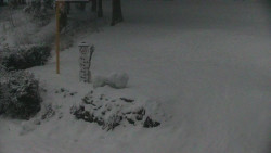 Běžecký lyžařský areál Nová Ves - horní část