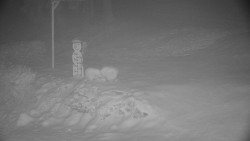 Běžecký lyžařský areál Nová Ves - horní část