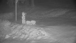 Běžecký lyžařský areál Nová Ves - horní část