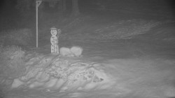 Běžecký lyžařský areál Nová Ves - horní část