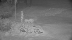 Běžecký lyžařský areál Nová Ves - horní část