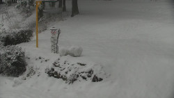 Běžecký lyžařský areál Nová Ves - horní část