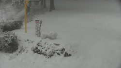 Běžecký lyžařský areál Nová Ves - horní část