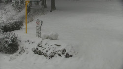 Běžecký lyžařský areál Nová Ves - horní část