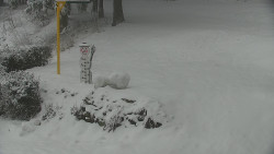 Běžecký lyžařský areál Nová Ves - horní část