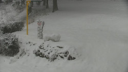 Běžecký lyžařský areál Nová Ves - horní část